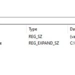 OpenXR Registry Setting