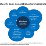 Figure 1: Visual representation of the One Care Program Care Coordination Team