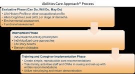 Abilities Care Approach Process Flow