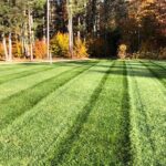 Lush green lawn achieved with a custom lawn care program