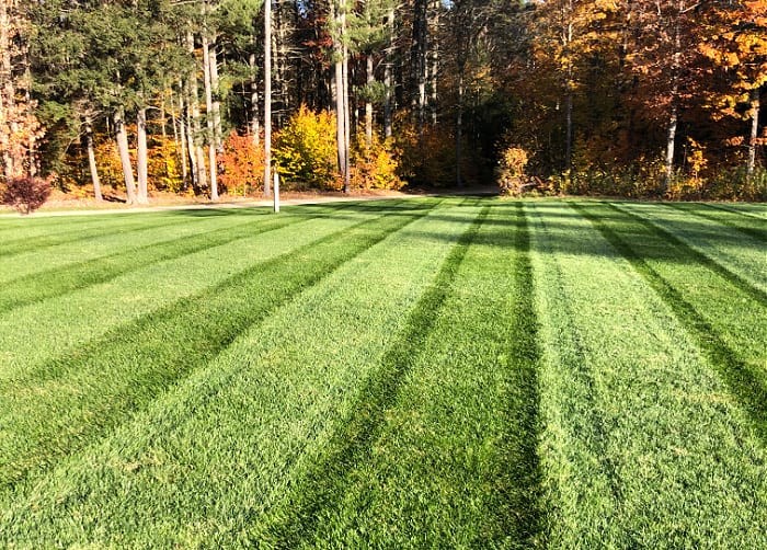 Lush green lawn achieved with a custom lawn care program