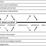 Conceptual model of biosocial dynamics shaping individuals across life stages.