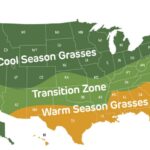 turfgrass types by region