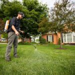 Lawn technician applying crabgrass pre-emergent