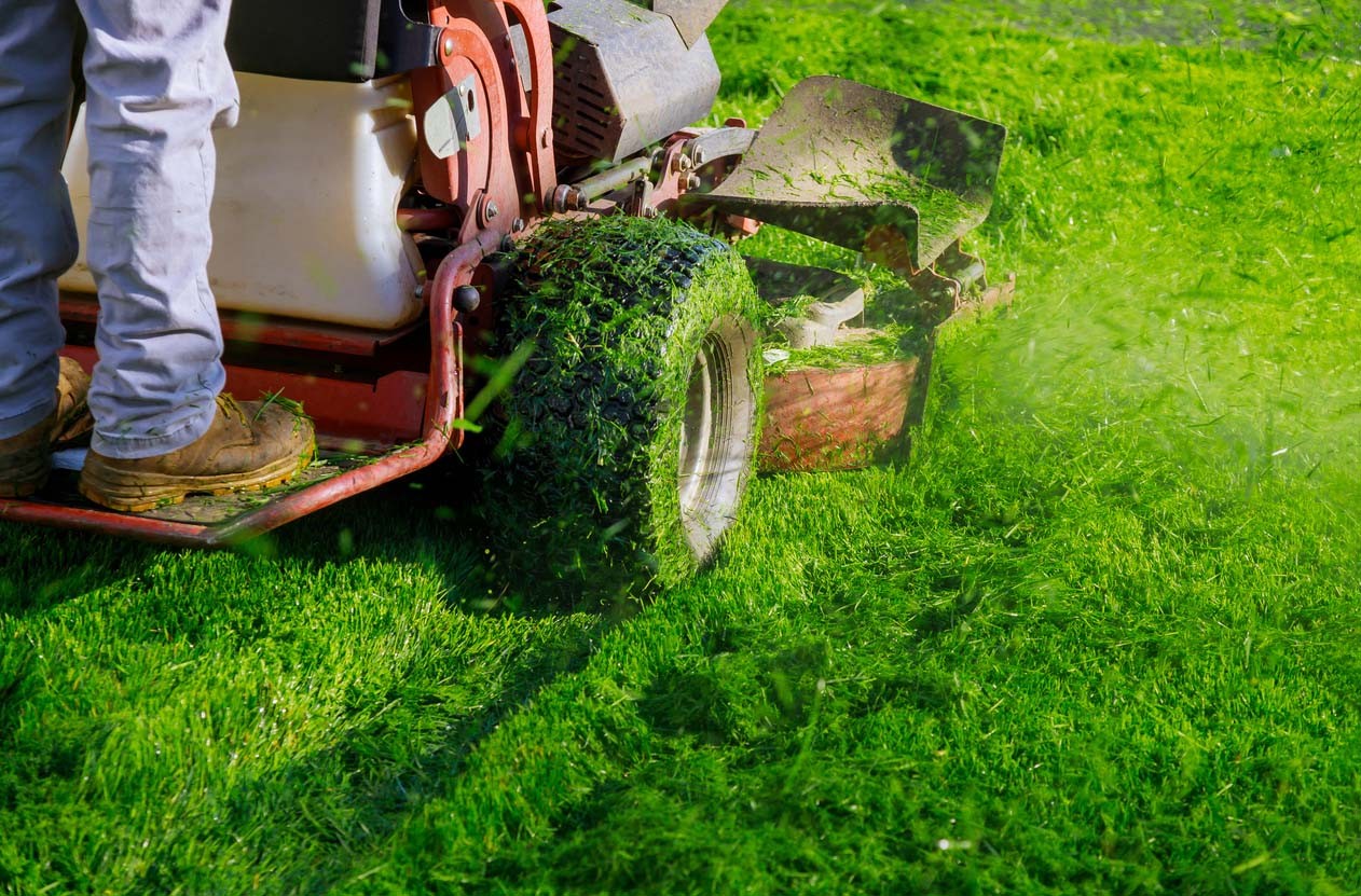 A person riding a lawn mower and cutting grass in a yard.