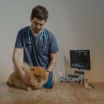 Veterinary Technician assisting a dog patient